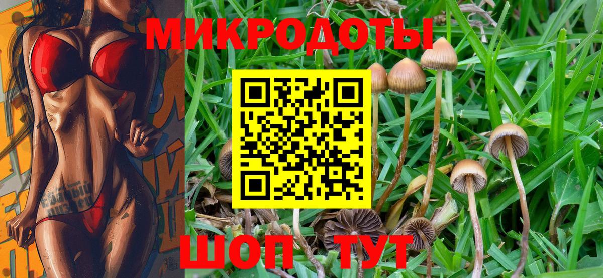 как найти   Галлюциногенные грибы Psilocybe  Сарапул  Вход с VPN  Псилоцибиновые грибы GOLDEN TEACHER 